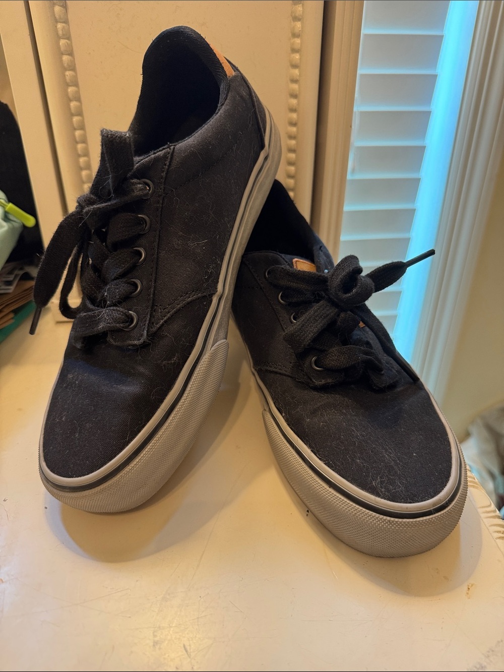 Vans Black Canvas Low-Top Sneakers with White Sole